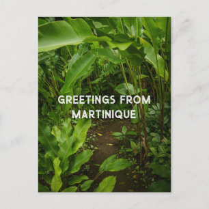 Carte Postale Jardin tropical de Martinique, voyage