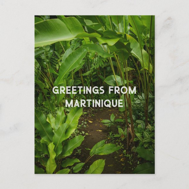 Carte Postale Jardin tropical de Martinique, voyage (Devant)