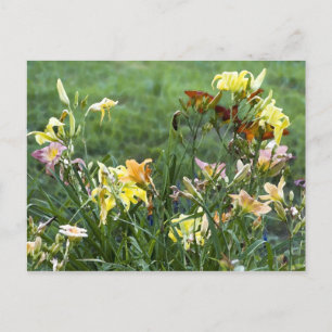 Carte Postale Jardin Watercolor