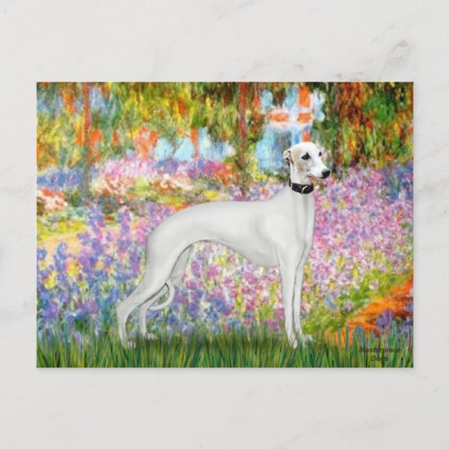 Carte Postale Jardin - Whippet 11b (Devant)