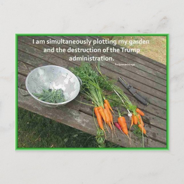 Carte Postale Jardinage de carottes et lot & résistance à Trump (Devant)