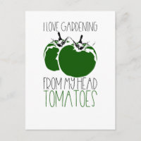 Jardinage des tomates