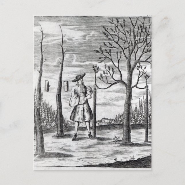 Carte Postale Jardinage et Maladies Plantes (Devant)