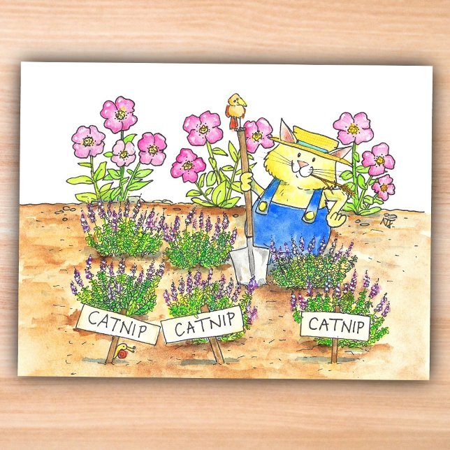 Carte Postale Jardinier Chat  (Créateur téléchargé)