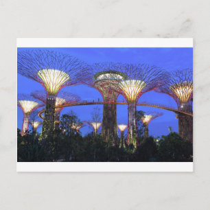 Carte Postale Jardins au bord du parc écologique Bay Singapore