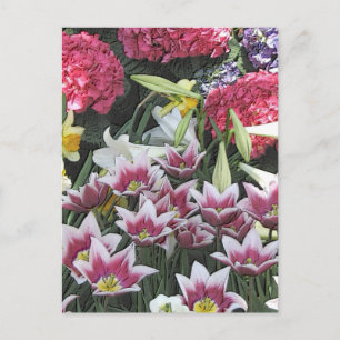 Carte Postale Jardins botaniques : Bulbes de printemps (effet pa