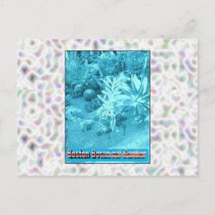 Carte Postale Jardins botaniques de Boston