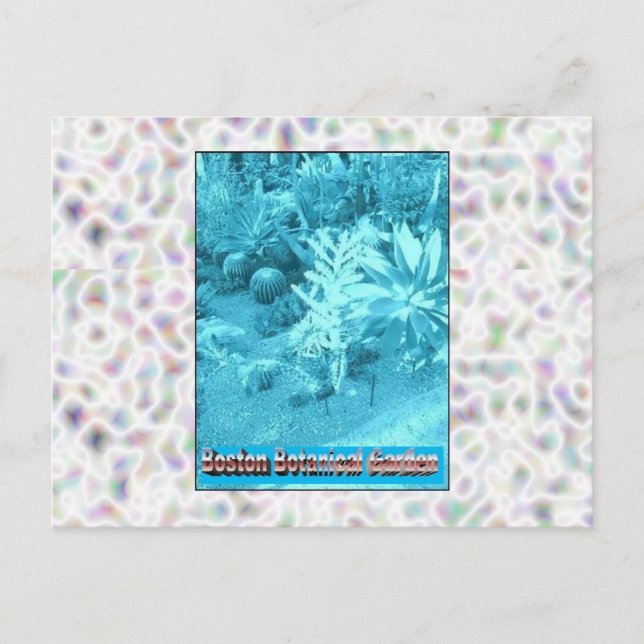 Carte Postale Jardins botaniques de Boston (Devant)