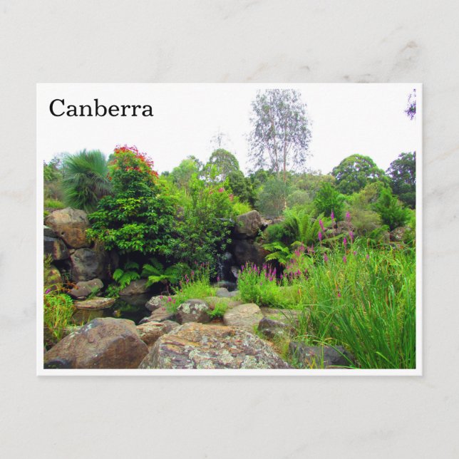 Carte Postale jardins botaniques de canberra (Devant)