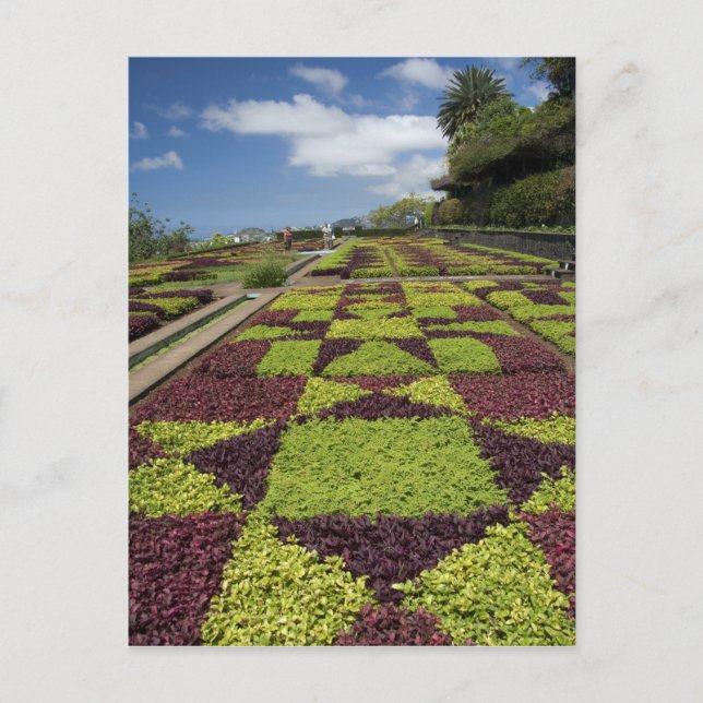 Carte Postale Jardins botaniques, Funchal, îles de Madère, (Devant)