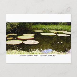 Carte Postale Jardins de Kanapaha - Gainesville 001