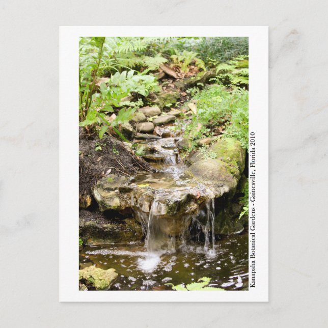 Carte Postale Jardins de Kanapaha - Gainesville 002 (Devant)