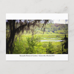 Carte Postale Jardins de Kanapaha - Gainesville 012