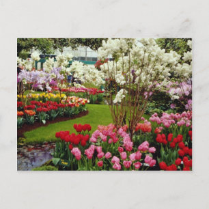 Carte Postale Jardins de Keukenhof à Lisse, au sud d'Amster