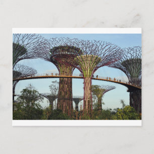 Carte Postale Jardins de la baie Singapore Supertree Grove