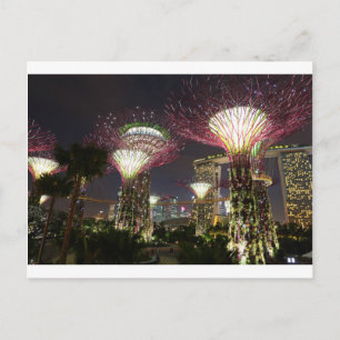 Carte Postale Jardins de la baie Singapore Supertree Grove