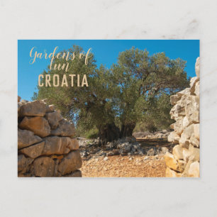 Carte Postale Jardins d'olivier de Lun