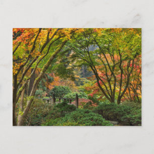 Carte Postale Jardins Japonais En Automne À Portland, Oregon 4