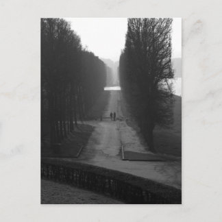 Carte Postale Jardins noirs et blancs de Versailles
