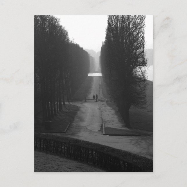 Carte Postale Jardins noirs et blancs de Versailles (Devant)