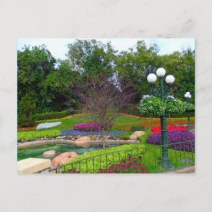 Carte Postale Jardins Scéniques II Orlando, FL