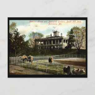 Carte Postale Jardins zoologiques, Druid Hill Park, Baltimore Vi