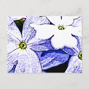 Carte Postale Jasmine