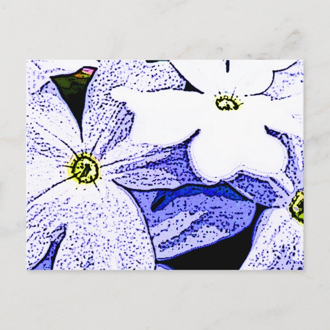 Carte Postale Jasmine (Devant)