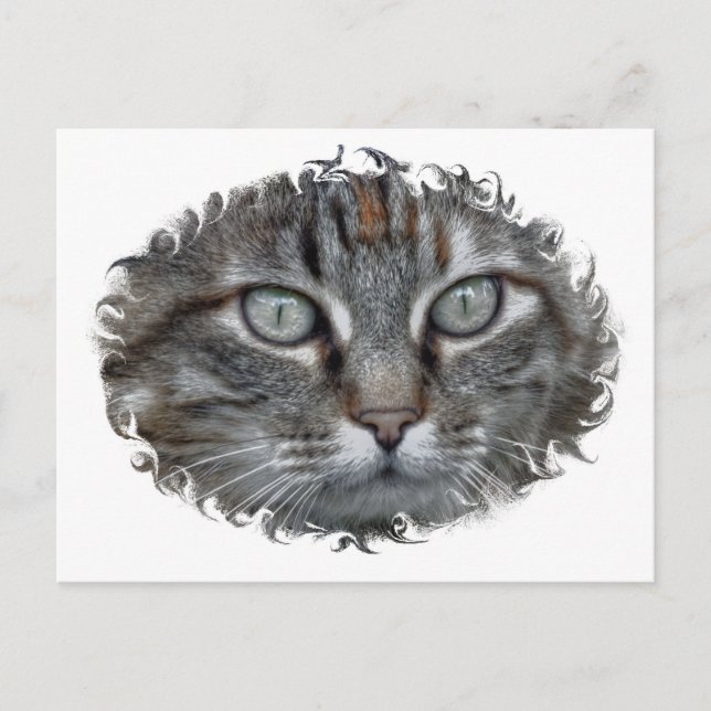 Carte Postale Jasmine (Devant)