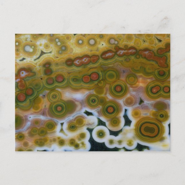 Carte Postale Jasper d'océan de couleur jaune (Devant)