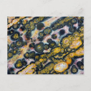 Carte Postale Jasper d'océan tacheté coloré