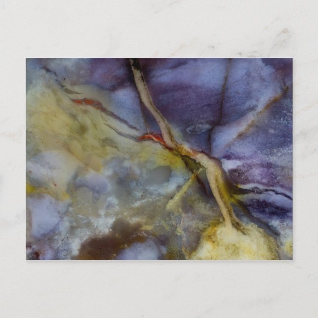 Carte Postale Jasper violet (Devant)