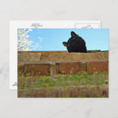 Carte postale 'Jasper's Lookout' (Devant / Derrière)