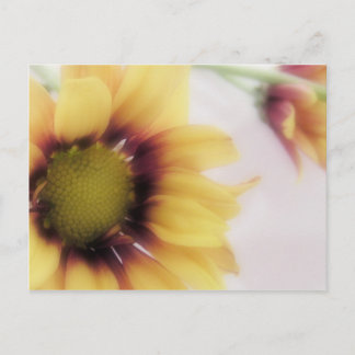 Carte postale Jaune