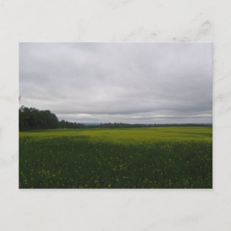 Carte Postale jaune