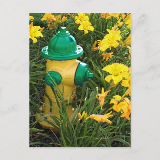 Carte Postale Jaune et gree
