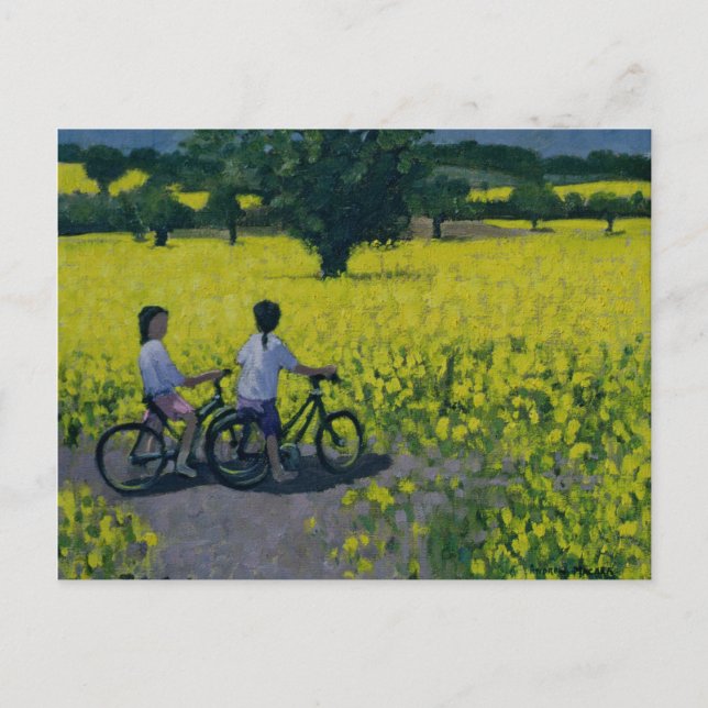 Carte Postale Jaune Field Kedleston Derby (Devant)