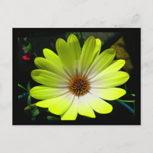 Carte postale Jaune Fluorescent