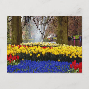 Carte Postale Jaune Keukenhof jardins, Amsterdam, Pays-Bas f