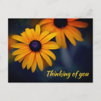 Jaune Suzanne Jardin Fleur Manquant Vous