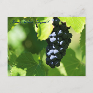 Carte Postale JAV Sainte-Croix purple grapes 2014 100 n