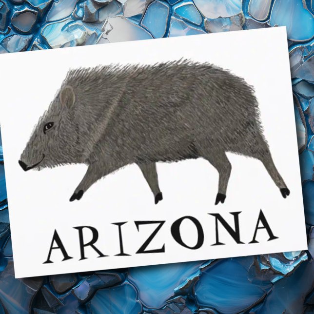 Carte Postale Javelina ARIZONA Désert Peccaire Animaux Sauvages  (Cute javelina artwork Arizona custom postcard)