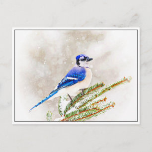 Carte Postale Jay bleu en hiver