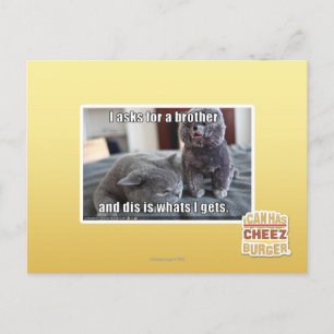 Carte Postale Je demande à un frère