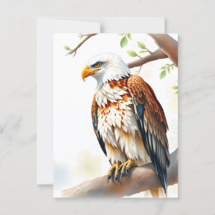 Carte Postale Je Dis Salut.   Aigle assis sur une branche