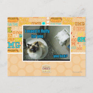 Carte Postale Je l'ai fait peluche fourrure vous
