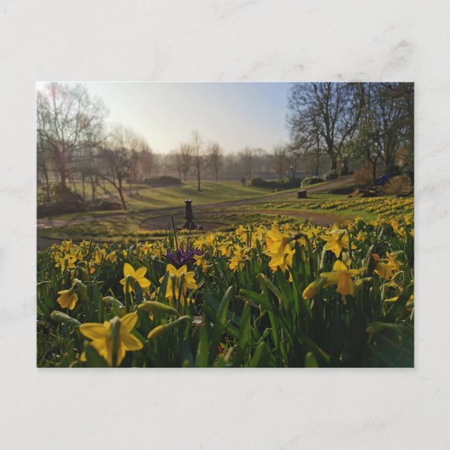 Carte Postale Je me promenais seul comme un nuage par William Wo (Devant)