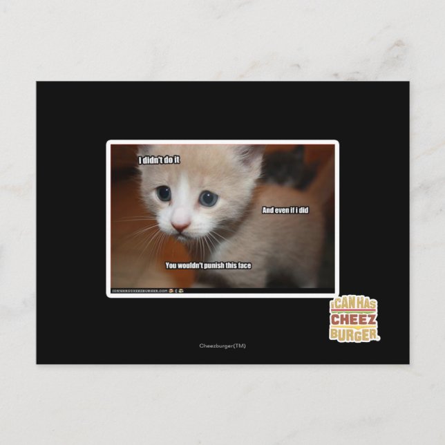 Carte Postale Je ne l'ai pas fait. (Devant)