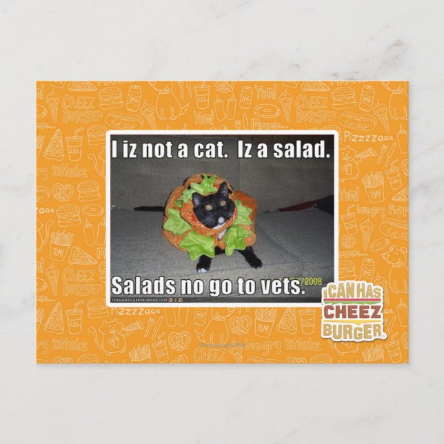 Carte Postale Je ne suis pas un chat. Iz une salade. (Devant)