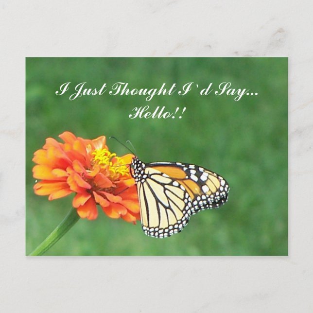 Carte Postale Je Pensais Juste Que Je Dirais... Bonjour ! (Devant)